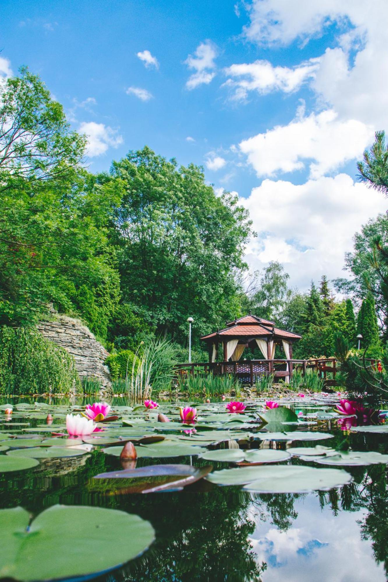 Hotel Belweder Ustron Kültér fotó The Lotus Pond